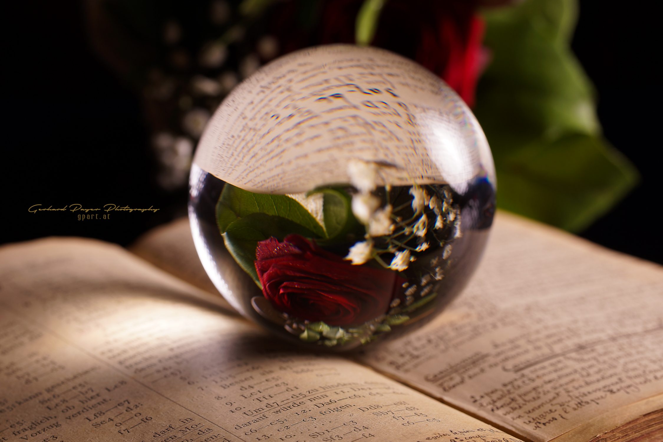 DSC09147_PS